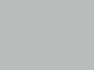 Ash grey 901