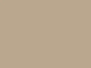 Sandstone 514