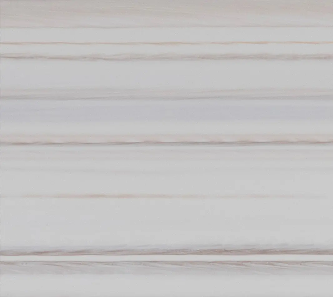 White maple N 546